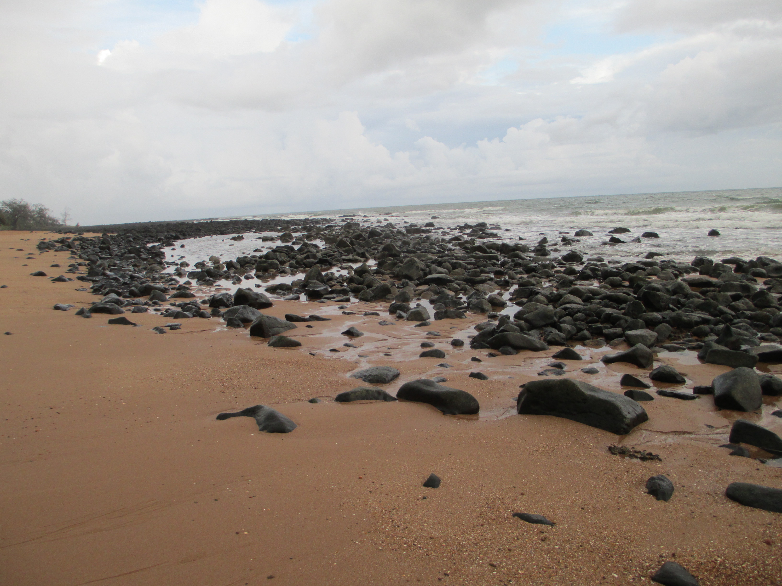 Turtles in Bargara and A Whole Lot of Bundaberg Rum