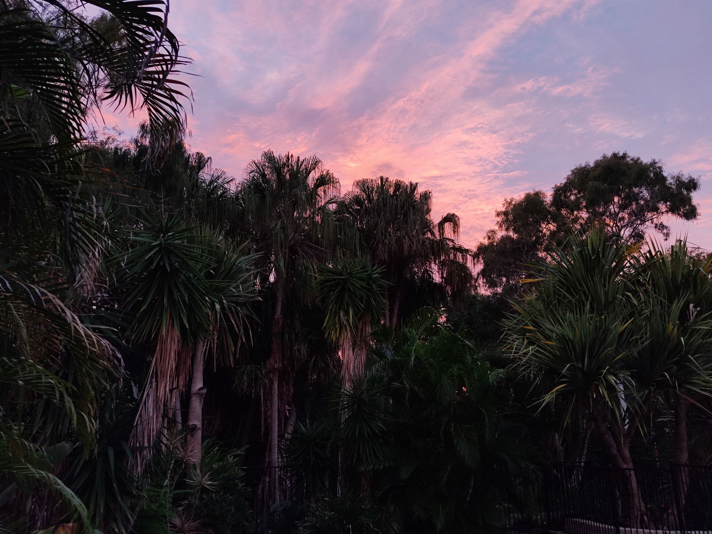 A Quick Catch Up – Aussie Style